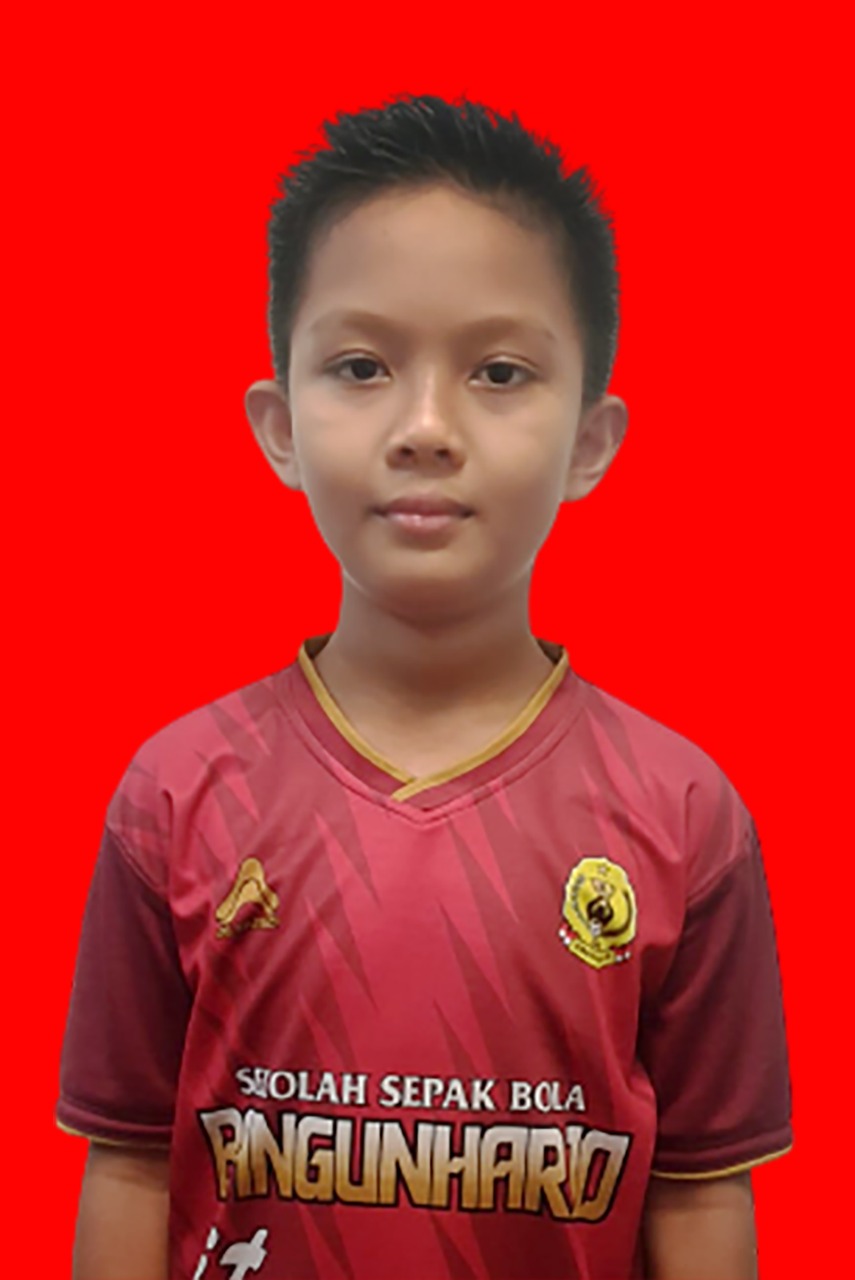 RAVI HARTADI